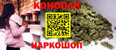 стаф Кингисепп