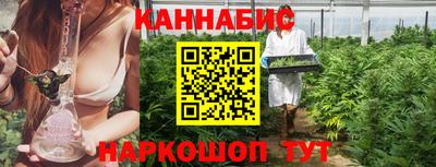 стаф Кингисепп