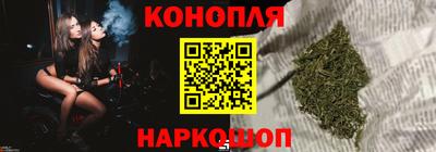 стаф Кингисепп