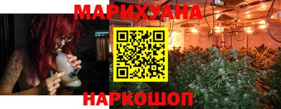 стаф Кингисепп