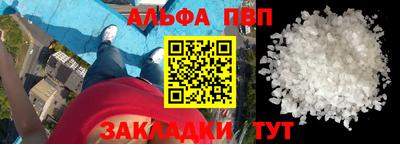 стаф Кингисепп