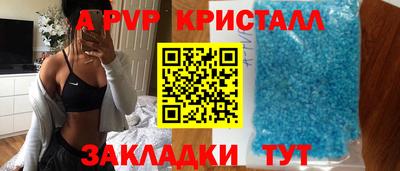стаф Кингисепп